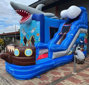 bbshark1