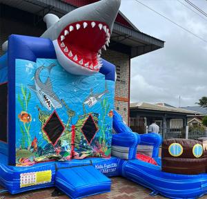 bbshark2