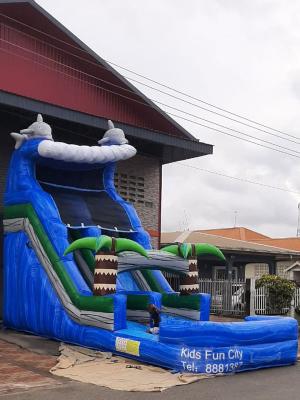 OeanWaterslide1